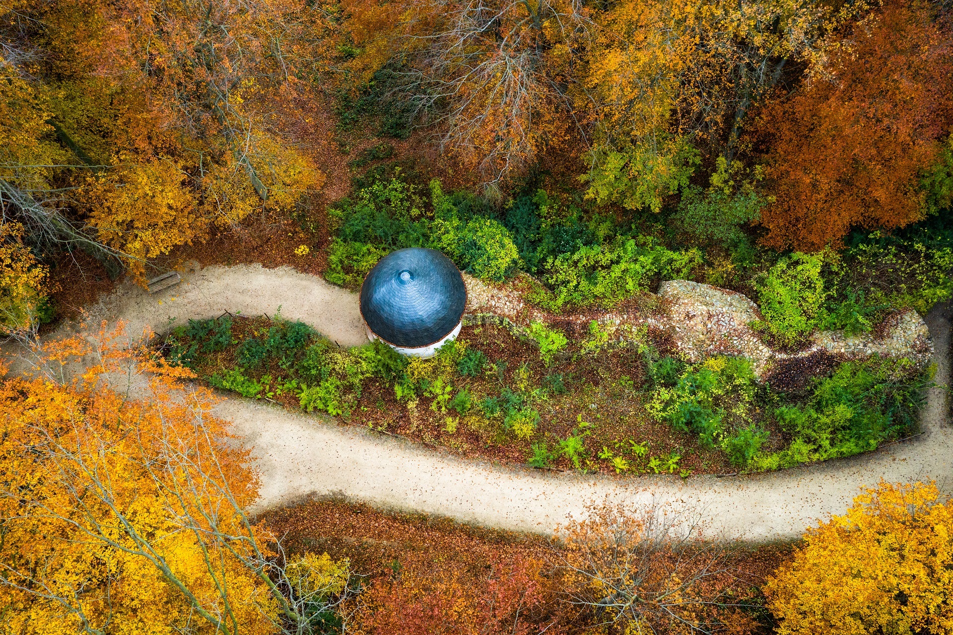 Herbstlicher Niederwald