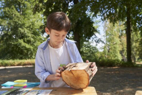 Wissen waechst im Garten Hanau