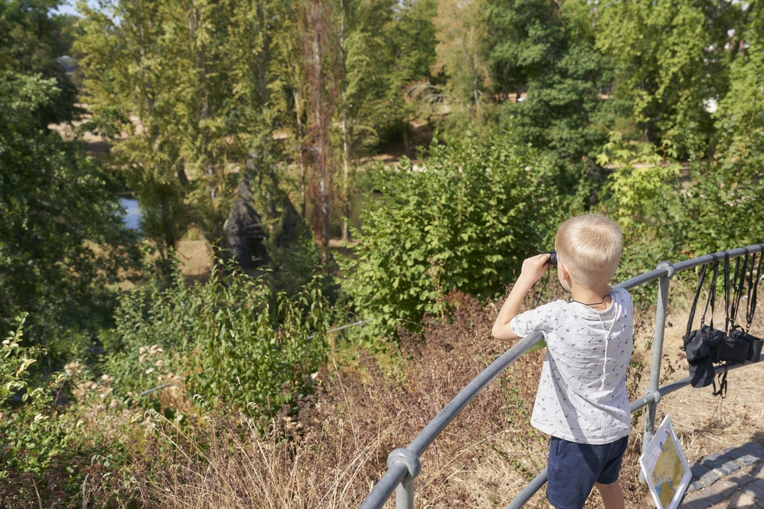 Wissen waechst im Garten Staatspark Hanau Wilhelmsbad