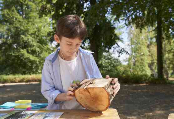 Wissen waechst im Garten Hanau